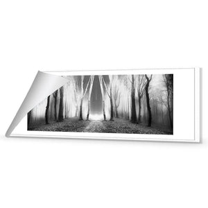 Luminous Forest, B&W | Classic Canvas | No Frame | Rolled Canvas
