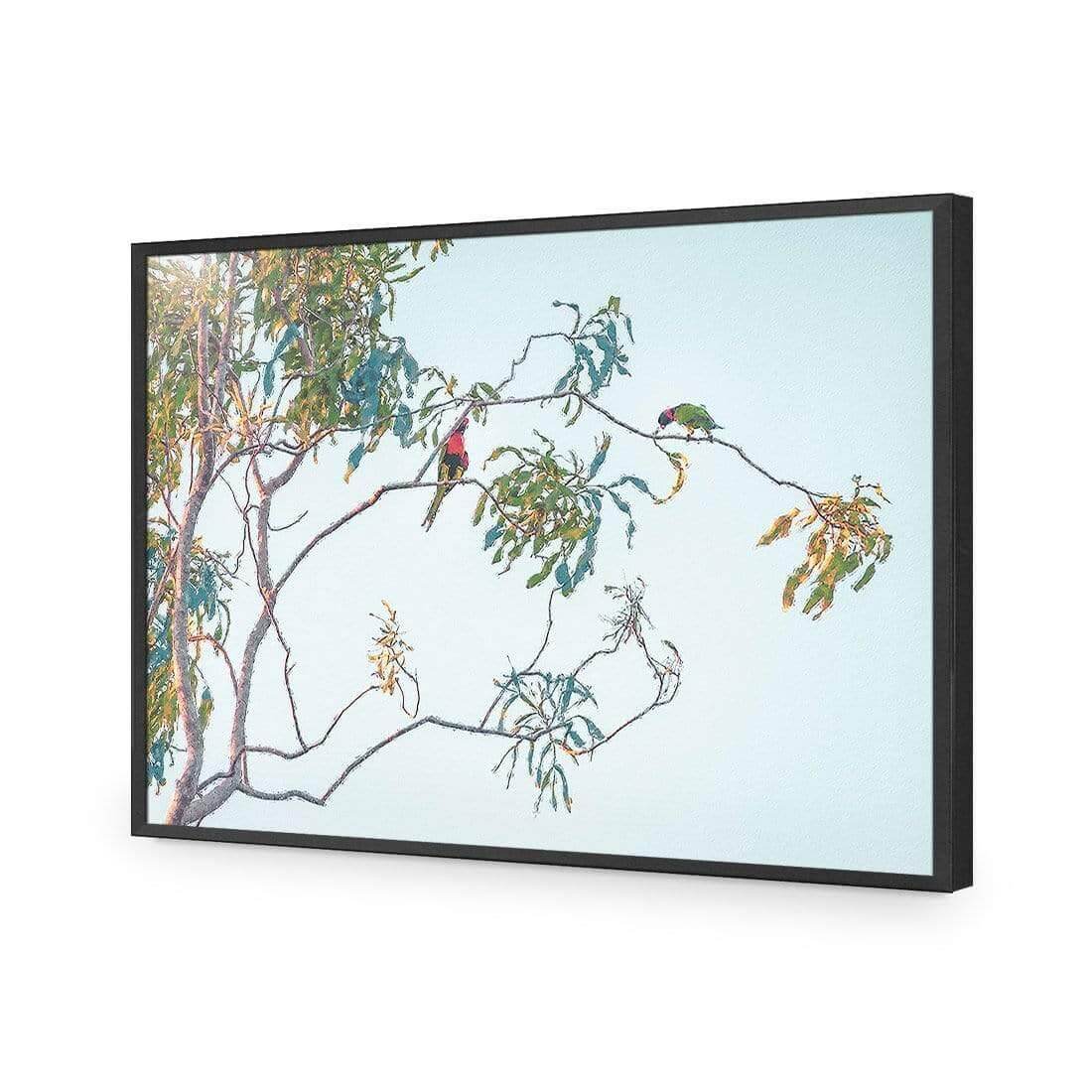 Lunch with Lorikeets - Wall Art Designs - AU_1085_AR_H WAD_AP - 030 - EDG_45x30_S - 2538 - BLK