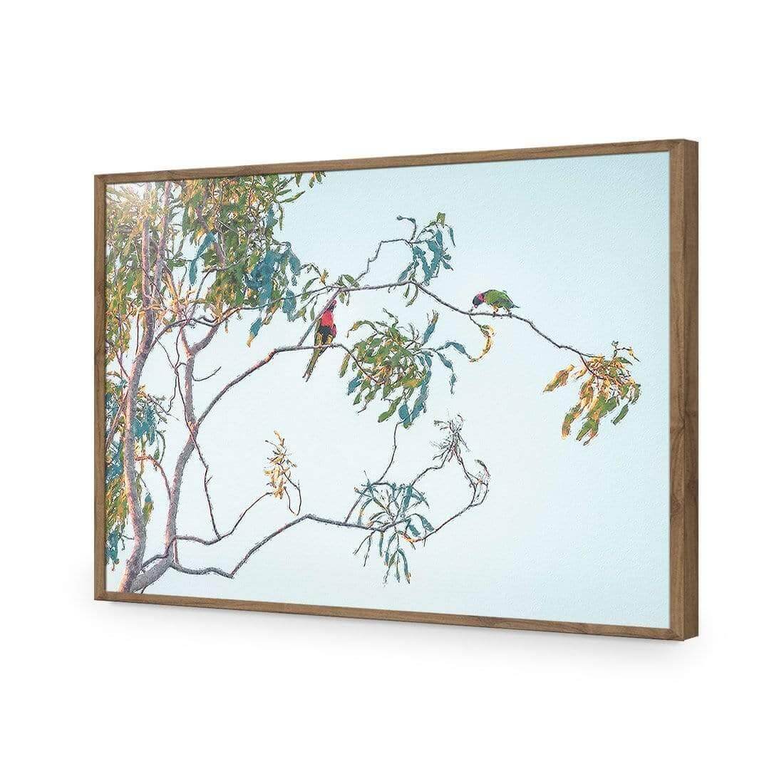 Lunch with Lorikeets - Wall Art Designs - AU_1085_AR_H WAD_AP - 030 - EDG_45x30_S - 2538 - NAT