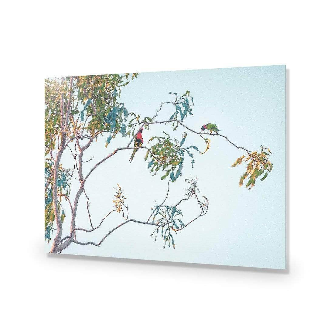 Lunch with Lorikeets - Wall Art Designs - AU_1085_AR_H WAD_AP - 030 - EDG_45x30_NONE