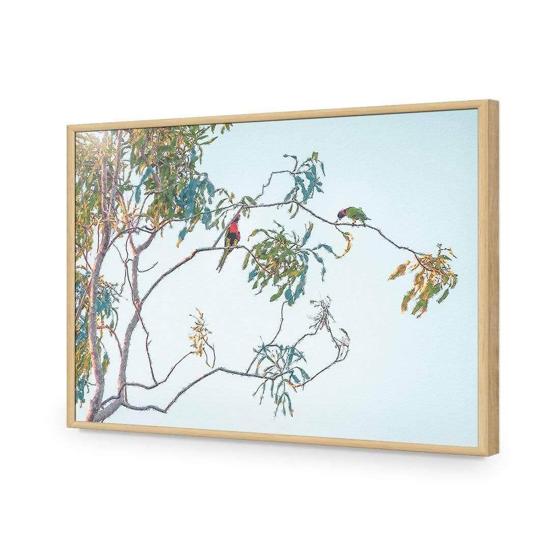 Lunch with Lorikeets - Wall Art Designs - AU_1085_AR_H WAD_AP - 030 - EDG_45x30_S - 2538 - OAK