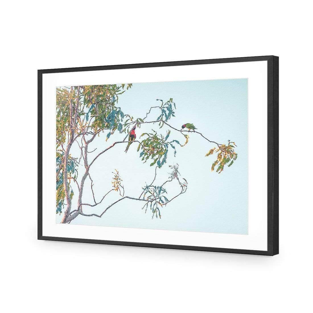 Lunch with Lorikeets - Wall Art Designs - AU_1085_AR_H WAD_AP - 030 - MAT_45x30_S - 2538 - BLK