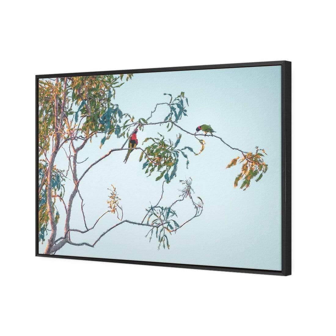 Lunch with Lorikeets - Wall Art Designs - AU_1085_AR_H WAD_CP - MPY - 260 - M - S - S_45x30_S - 1550 - BLK