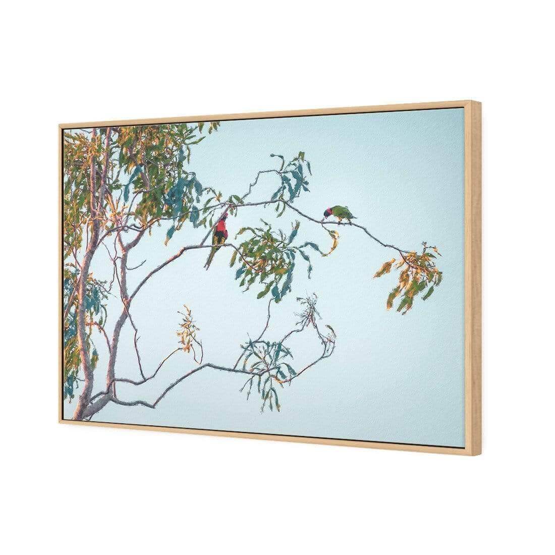 Lunch with Lorikeets - Wall Art Designs - AU_1085_AR_H WAD_CP - MPY - 260 - M - S - S_45x30_S - 1550 - OAK