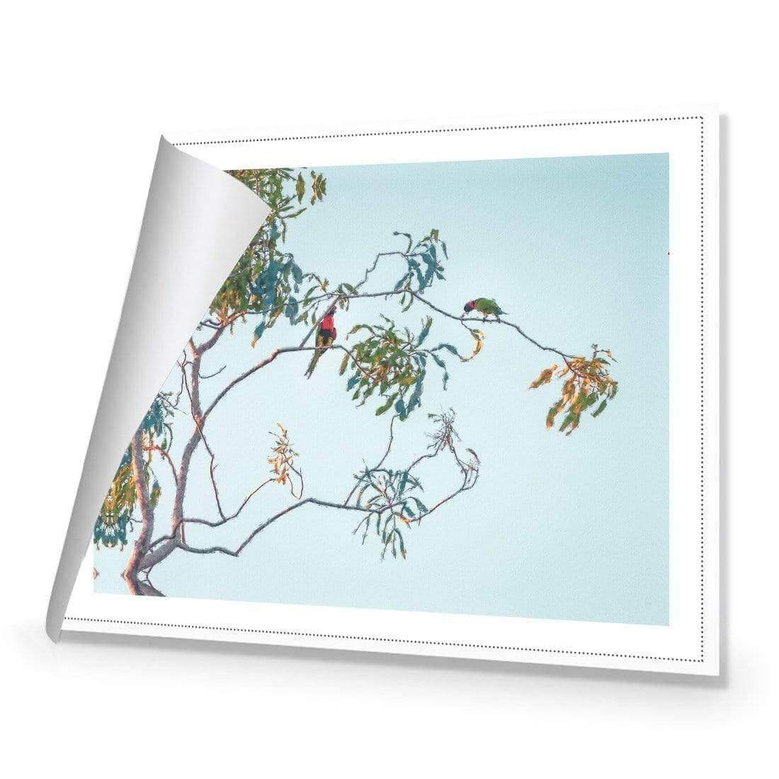 Lunch with Lorikeets - Wall Art Designs - AU_1085_AR_H WAD_CP - MPY - 260 - M - R_45x30_NONE