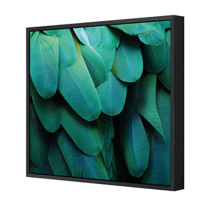 Macaw Feathers | Standard Canvas | Floating Frame | Black