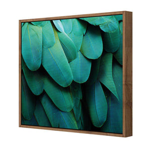 Macaw Feathers | Standard Canvas | Floating Frame | Natural