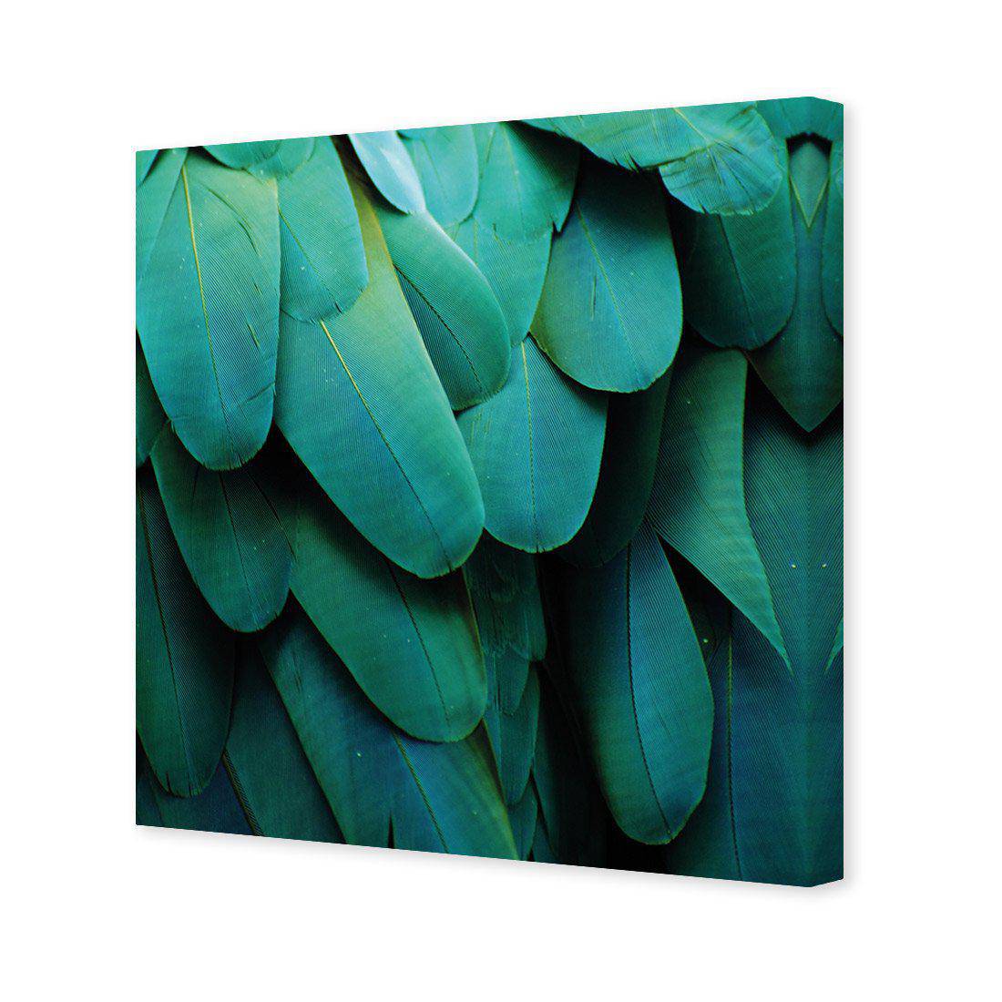 Macaw Feathers Canvas Art - Wall Art Designs - 3166_AS_Q WAD_CP - MPY - 260 - M - S - S_30x30_NONE