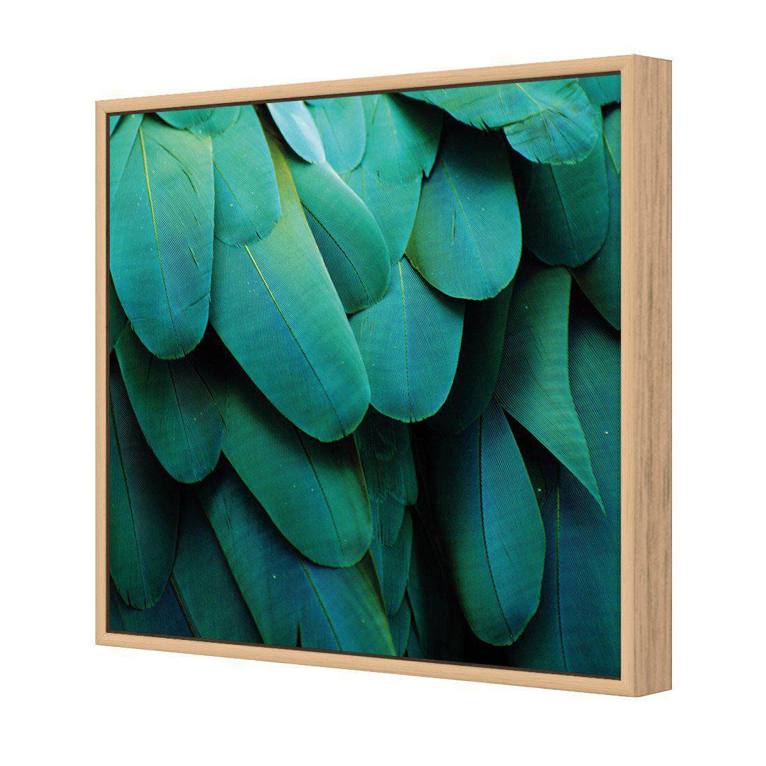 Macaw Feathers | Standard Canvas | Floating Frame | Oak