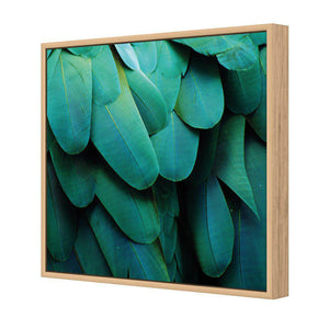 Macaw Feathers | Standard Canvas | Floating Frame | Oak