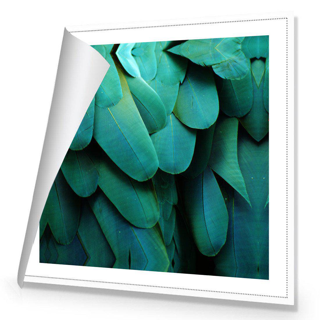 Macaw Feathers | Standard Canvas | No Frame | Rolled Canvas