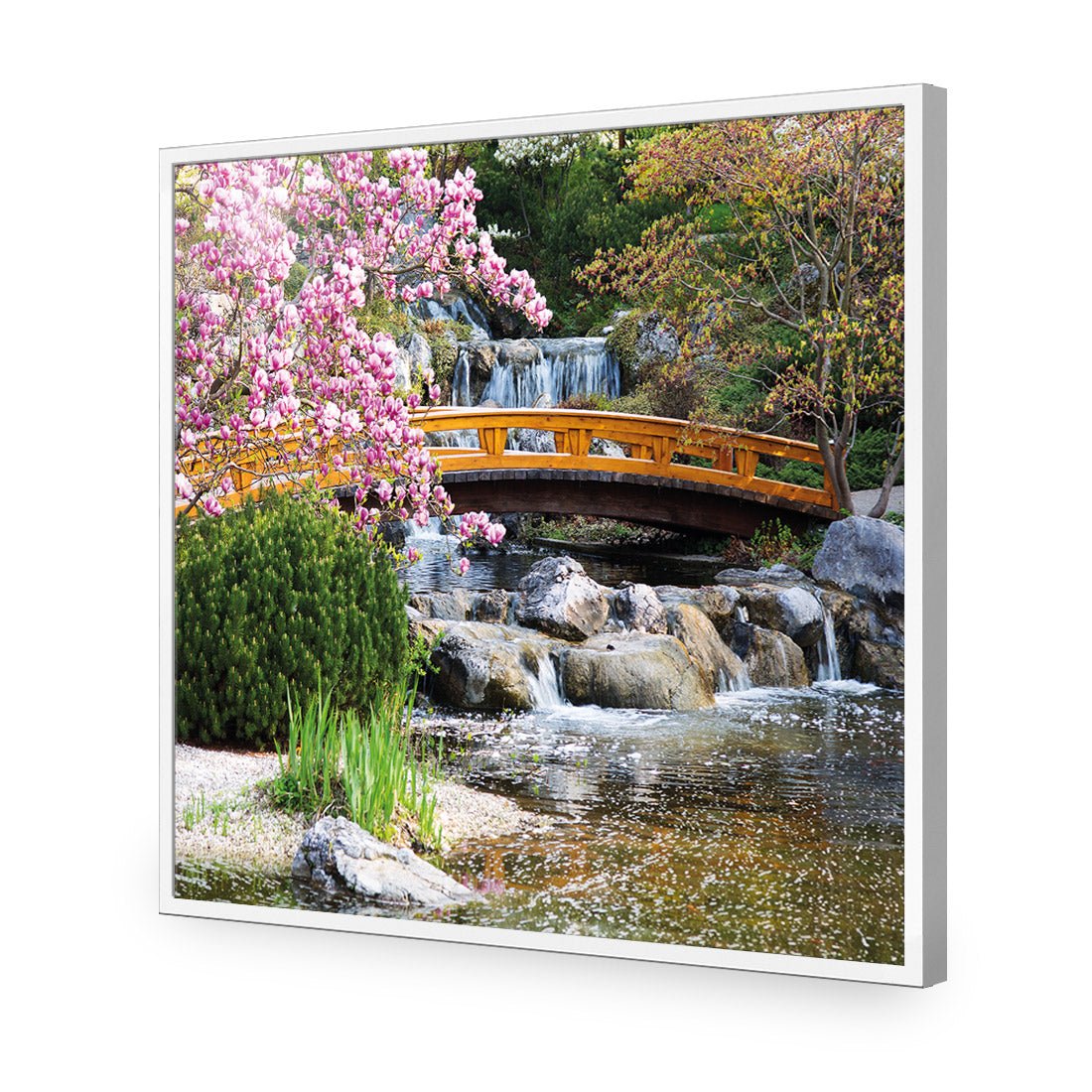 Magnolia Garden Bridge (square) - Wall Art Designs - 174_AS_Q WAD_CP - MPY - 260 - M - S - S_37x37_NONE