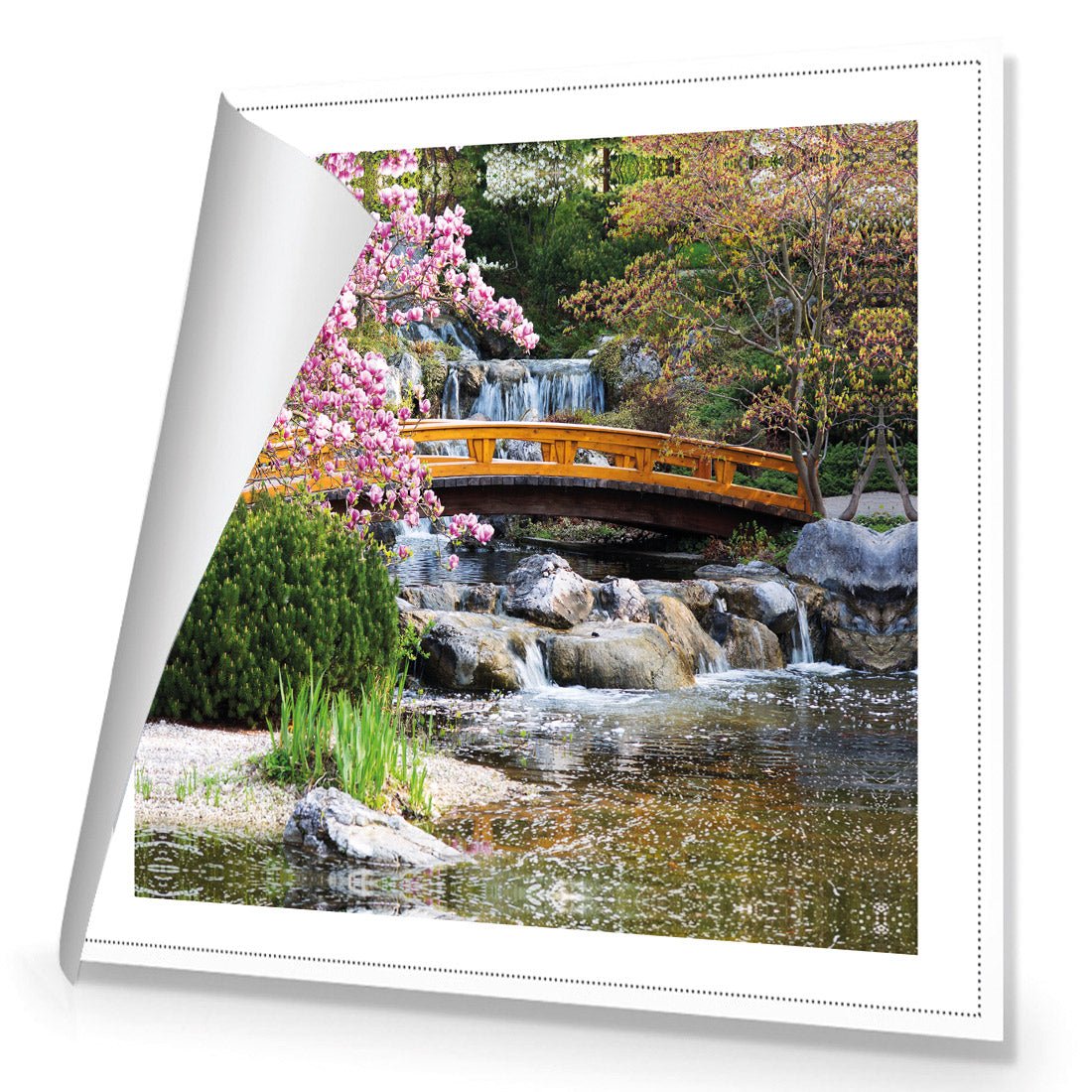 Magnolia Garden Bridge (square) - Wall Art Designs - 174_AS_Q WAD_CP - MPY - 260 - M - S - S_37x37_NONE