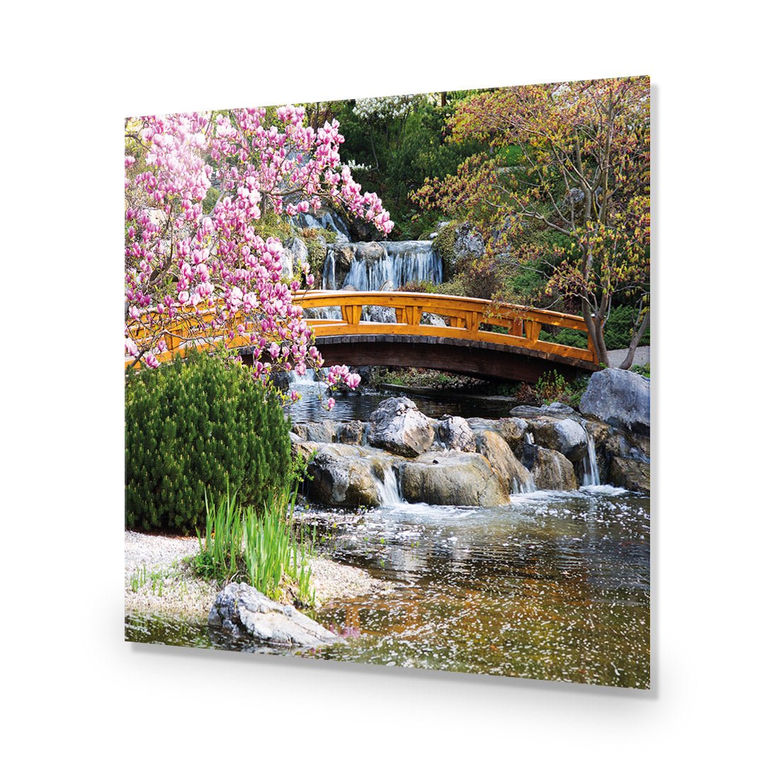 Magnolia Garden Bridge (square) - Wall Art Designs - 174_AS_Q WAD_CP - MPY - 260 - M - S - S_37x37_NONE