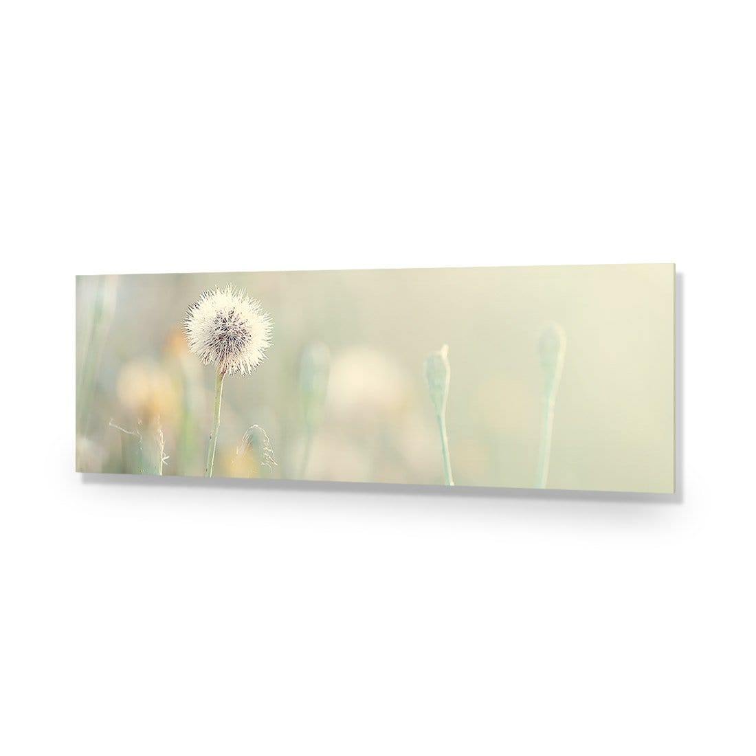 Make a Wish (long) - Wall Art Designs - 2304_AL_H WAD_AP - 030 - EDG_90x30_NONE