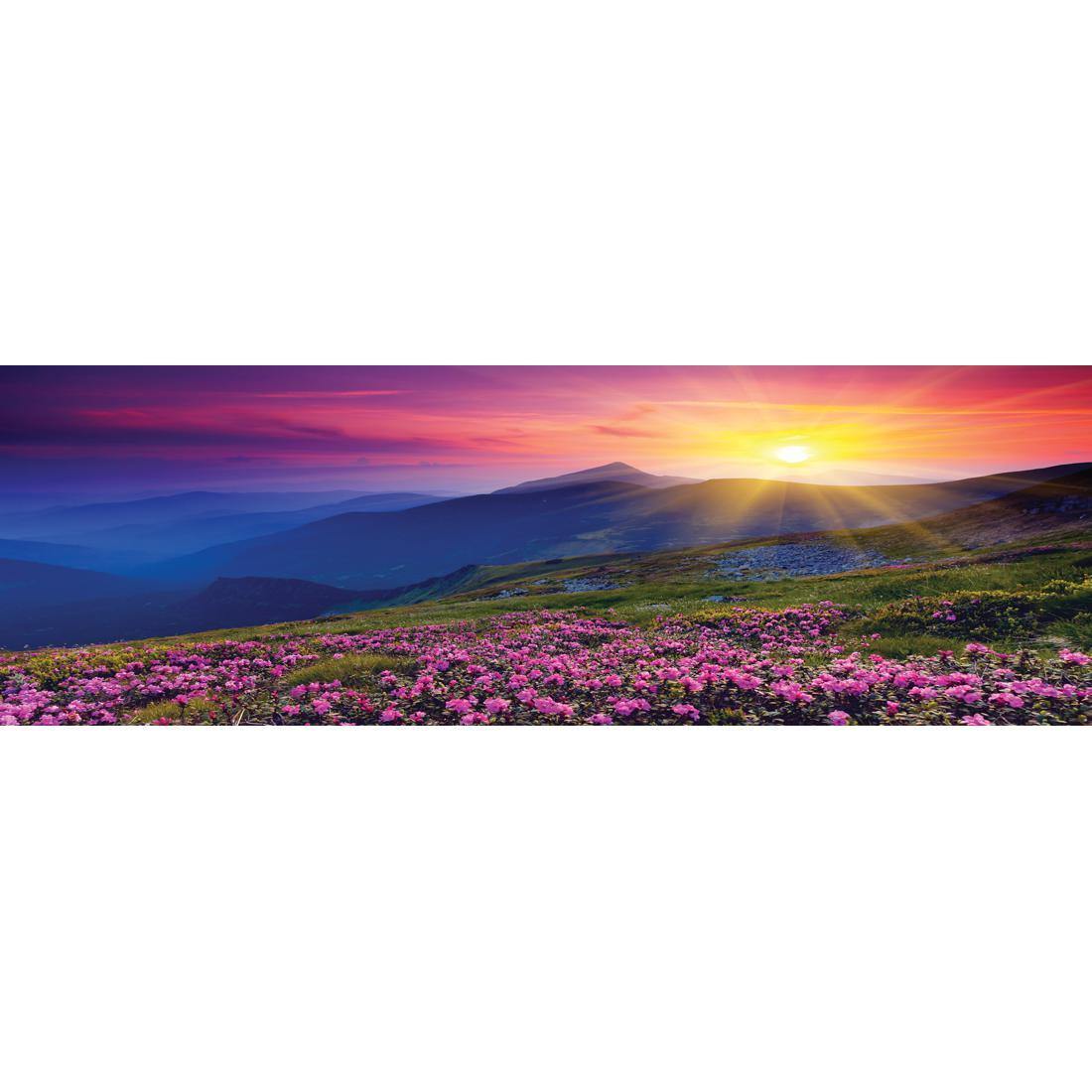 Make Believe Sunrise (long) - Wall Art Designs - 2307_AL_H WAD_CP - MPY - 260 - M - S - S_60x20_NONE