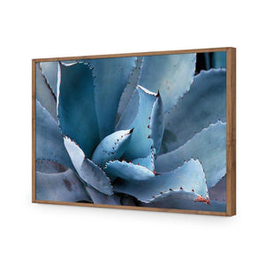 Mexican Succulent | Classic Acrylic | Flat Frame No Border | Natural