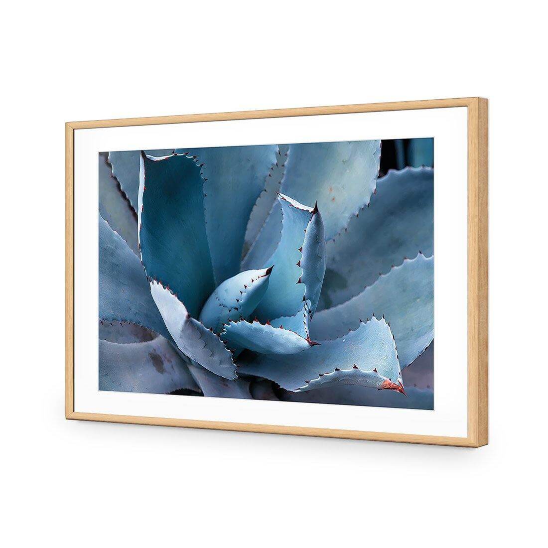 Mexican Succulent | Classic Acrylic | Flat Frame With Border | Oak