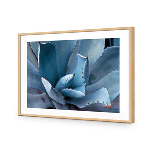 Mexican Succulent | Classic Acrylic | Flat Frame With Border | Oak