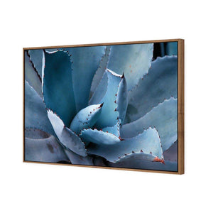 Mexican Succulent | Classic Canvas | Floating Frame | Natural
