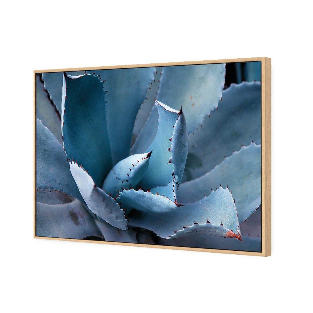 Mexican Succulent | Classic Canvas | Floating Frame | Oak