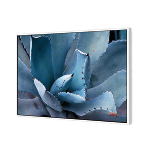 Mexican Succulent | Classic Canvas | Floating Frame | White