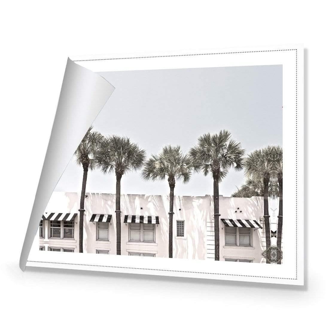 Miami Palms - Wall Art Designs - 3934_AR_H WAD_CP - MPY - 260 - M - R_45x30_NONE