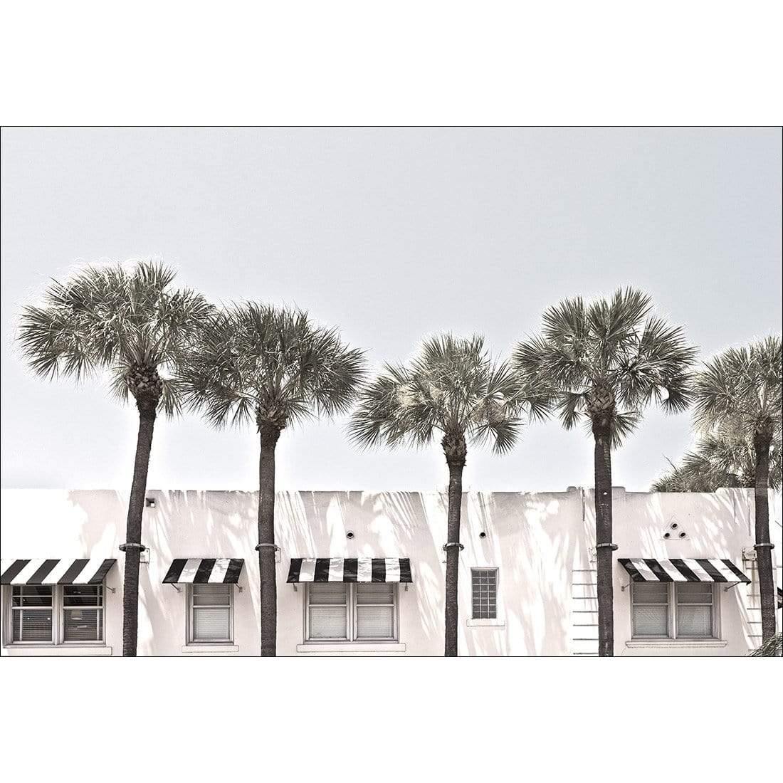 Miami Palms - Wall Art Designs - 3934_AR_H WAD_CP - MPY - 260 - M - S - S_45x30_NONE