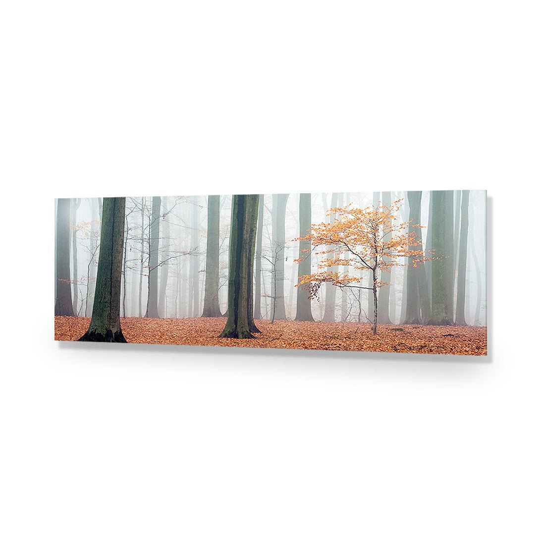 Misty Autumn Forest (Long) - Wall Art Designs - 1186_AL_H WAD_AP - 030 - EDG_90x30_NONE