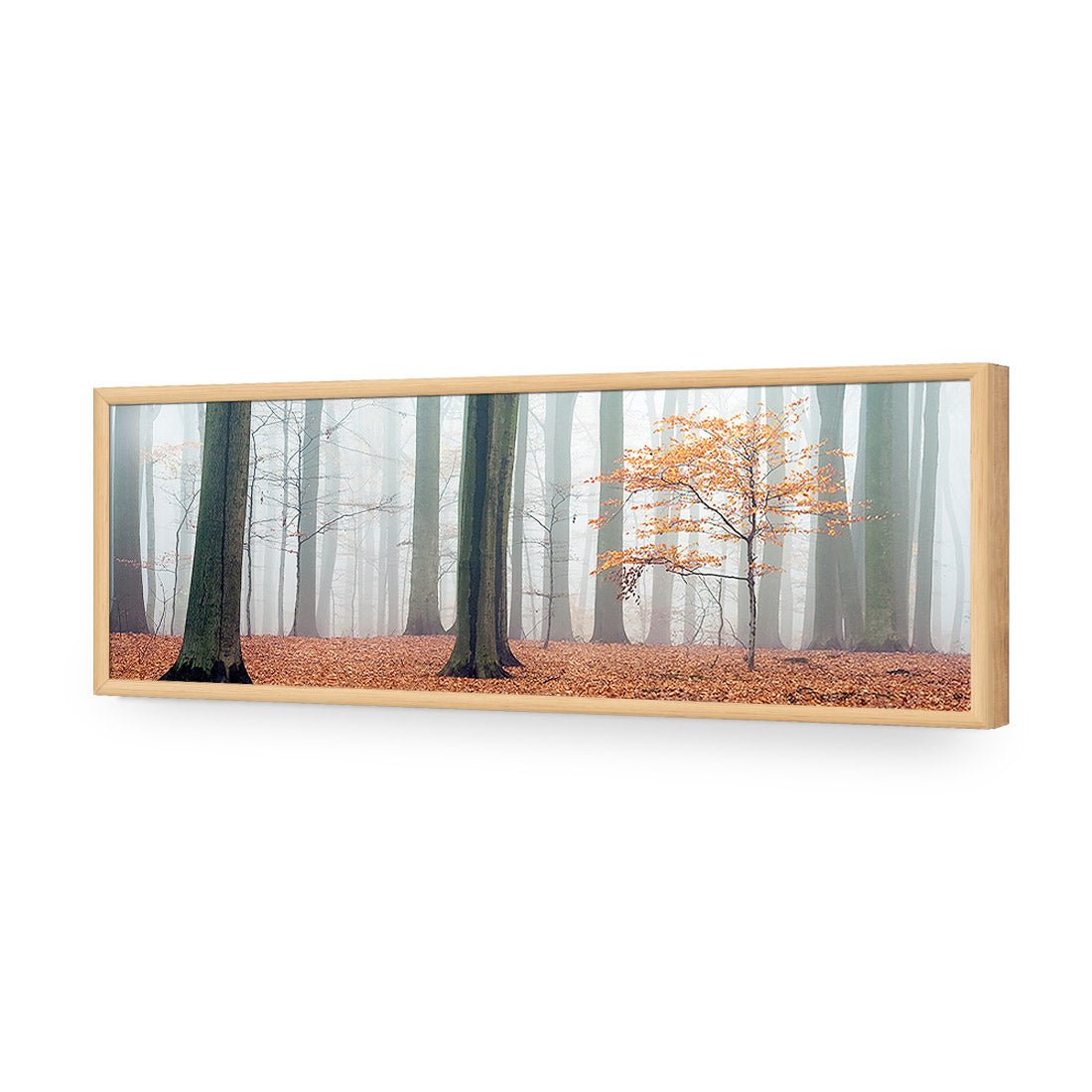 Misty Autumn Forest (Long) - Wall Art Designs - 1186_AL_H WAD_AP - 030 - EDG_90x30_S - 2538 - OAK