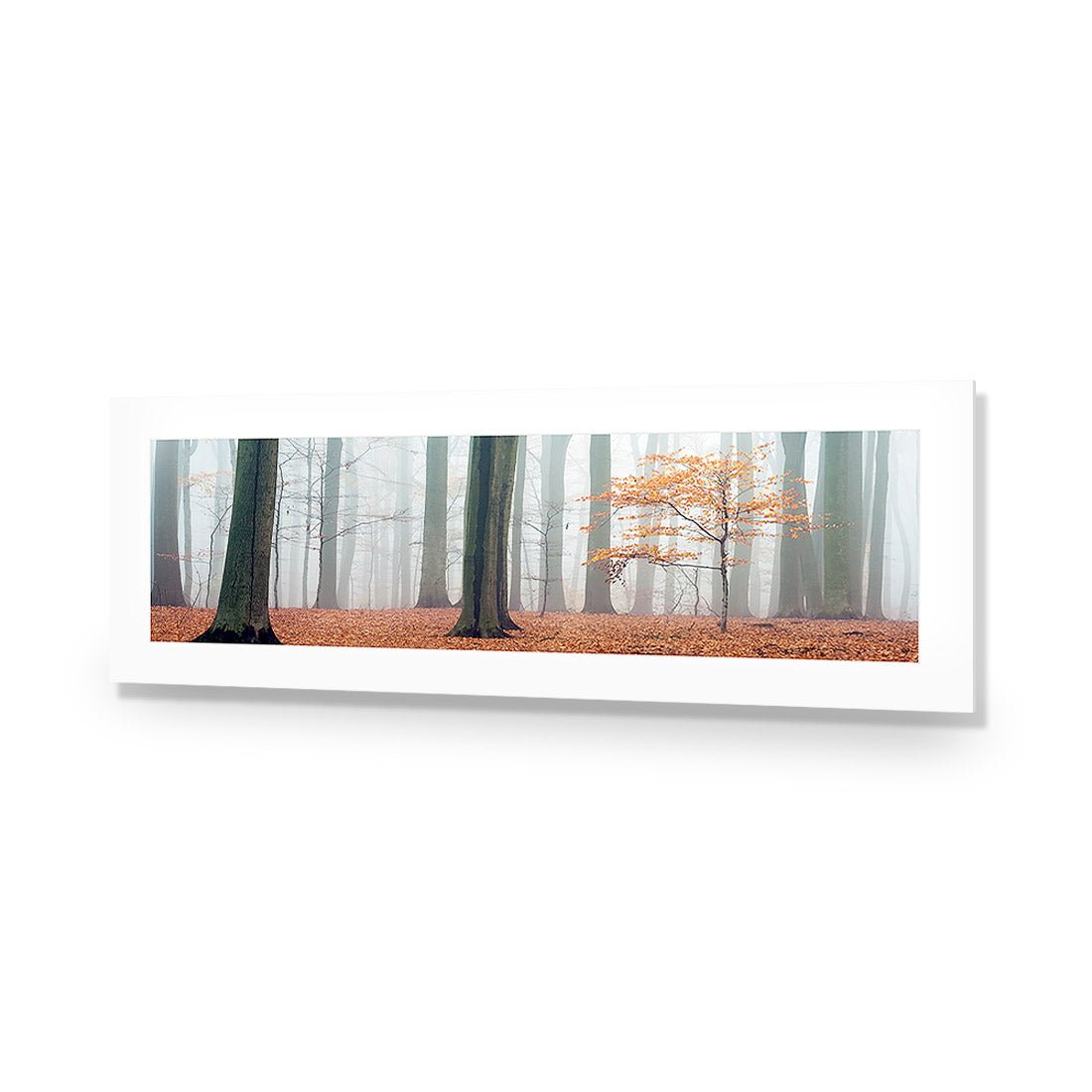 Misty Autumn Forest (Long) - Wall Art Designs - 1186_AL_H WAD_AP - 030 - MAT_90x30_NONE