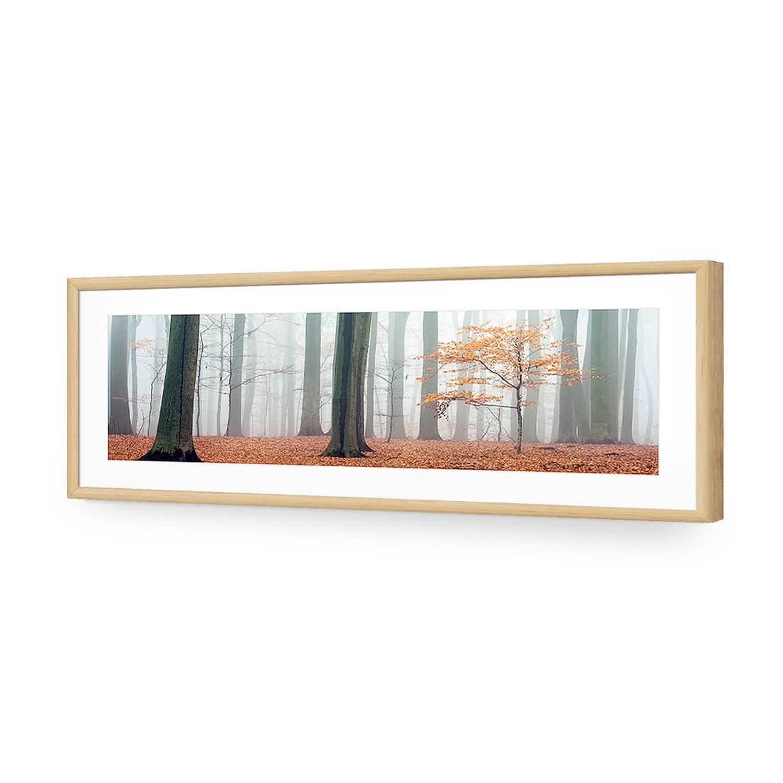 Misty Autumn Forest (Long) - Wall Art Designs - 1186_AL_H WAD_AP - 030 - MAT_90x30_S - 2538 - OAK