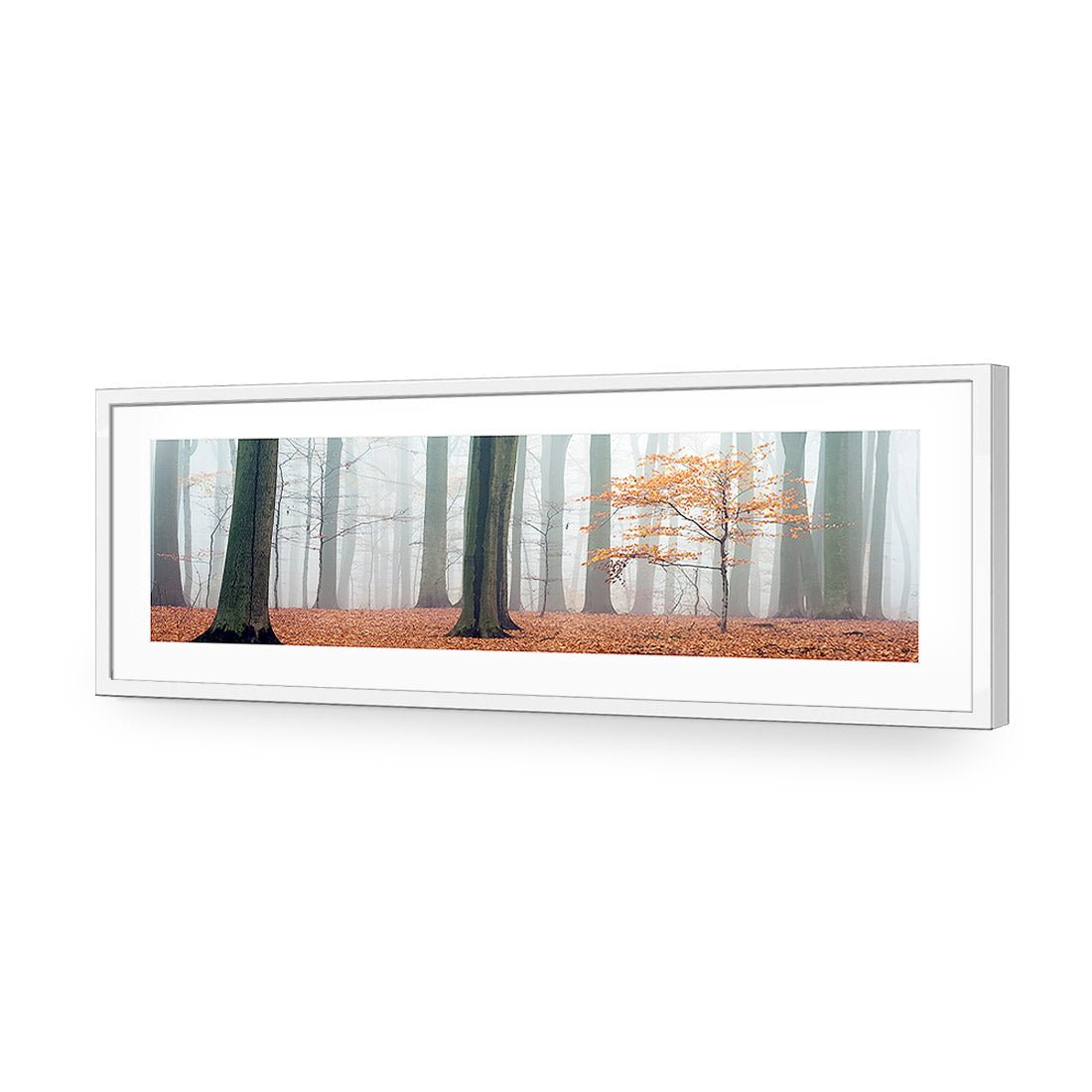 Misty Autumn Forest (Long) - Wall Art Designs - 1186_AL_H WAD_AP - 030 - MAT_90x30_S - 2538 - WHT