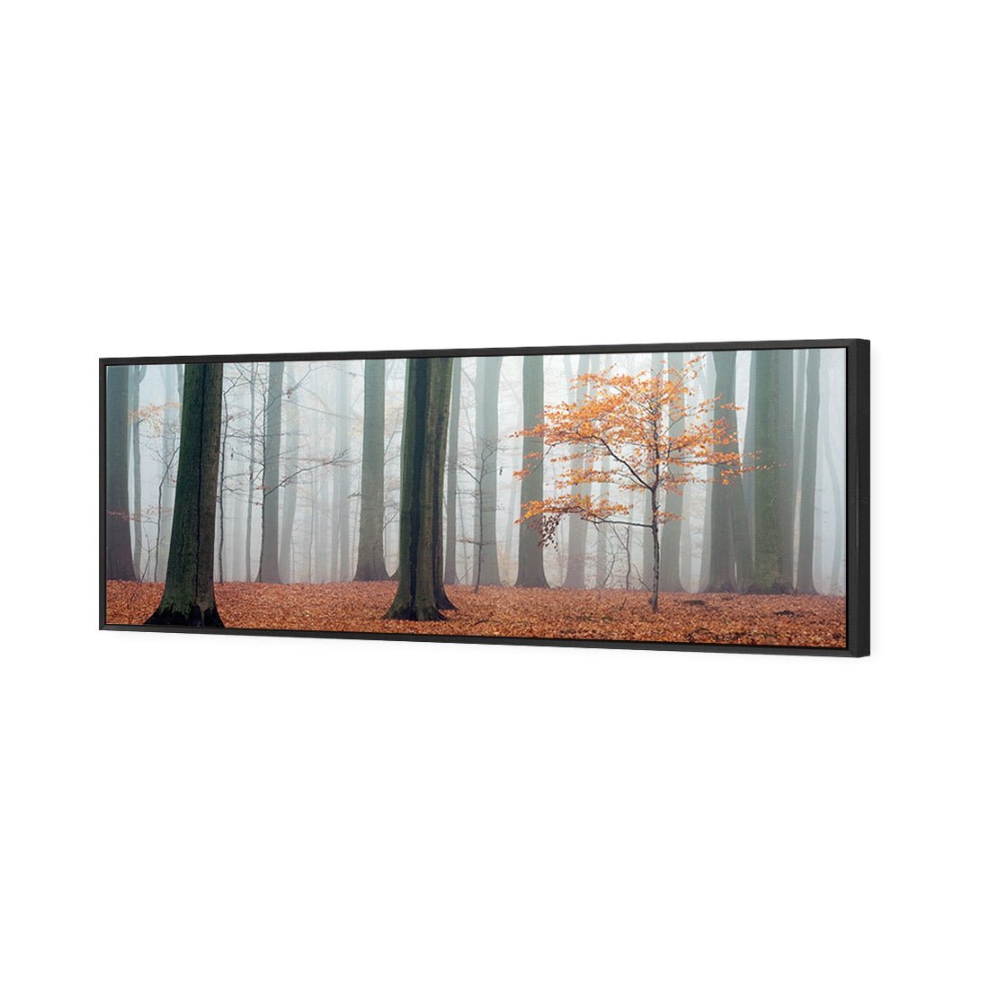 Misty Autumn Forest (Long) - Wall Art Designs - 1186_AL_H WAD_CP - MPY - 260 - M - S - S_60x20_S - 1550 - BLK