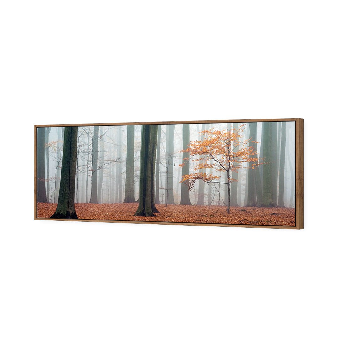 Misty Autumn Forest (Long) - Wall Art Designs - 1186_AL_H WAD_CP - MPY - 260 - M - S - S_60x20_S - 1550 - NAT