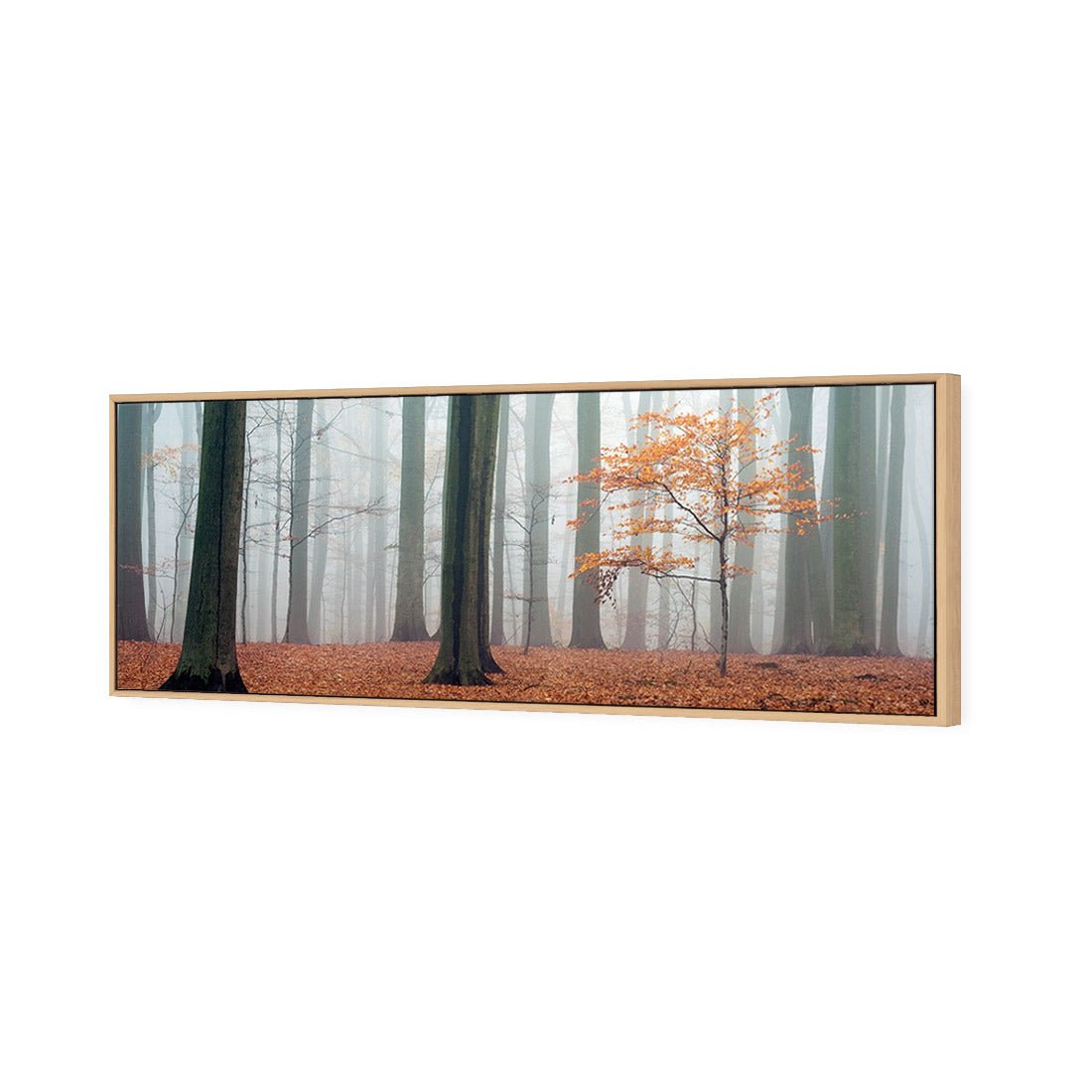 Misty Autumn Forest (Long) - Wall Art Designs - 1186_AL_H WAD_CP - MPY - 260 - M - S - S_60x20_S - 1550 - OAK