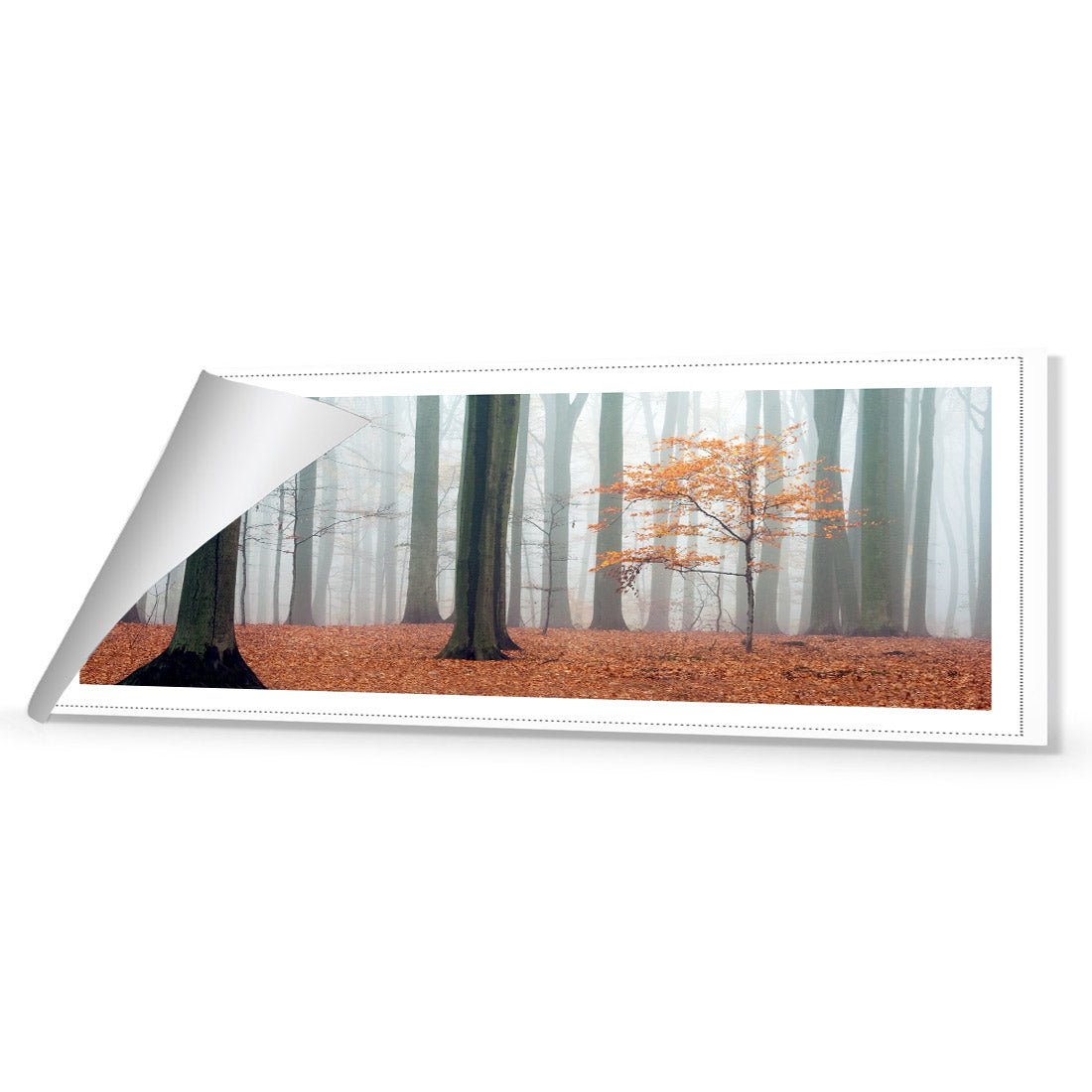 Misty Autumn Forest (Long) - Wall Art Designs - 1186_AL_H WAD_CP - MPY - 260 - M - R_60x20_NONE