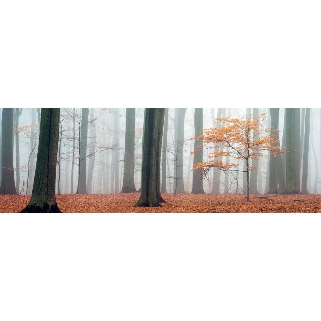 Misty Autumn Forest (Long) - Wall Art Designs - 1186_AL_H WAD_CP - MPY - 260 - M - S - S_60x20_NONE