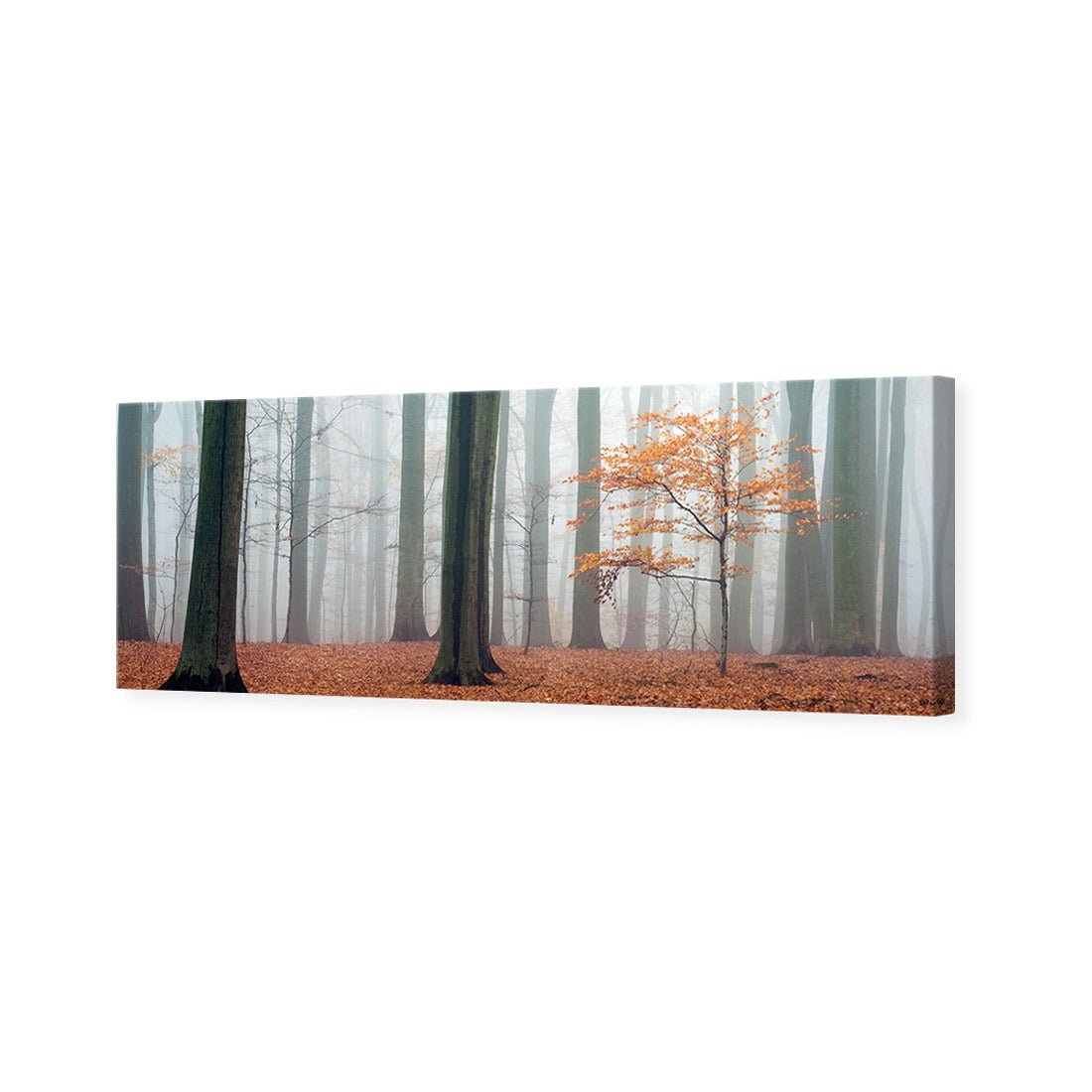 Misty Autumn Forest (Long) - Wall Art Designs - 1186_AL_H WAD_CP - MPY - 260 - M - S - S_60x20_NONE