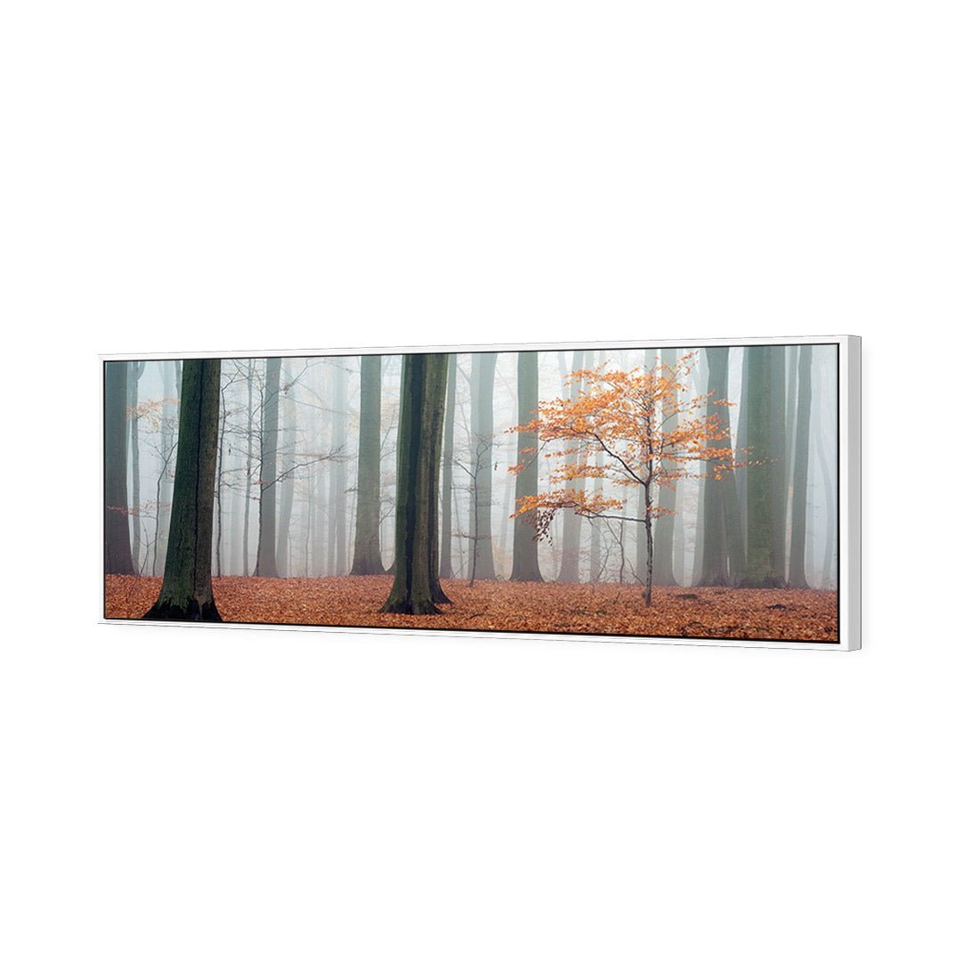 Misty Autumn Forest (Long) - Wall Art Designs - 1186_AL_H WAD_CP - MPY - 260 - M - S - S_60x20_S - 1550 - WHT