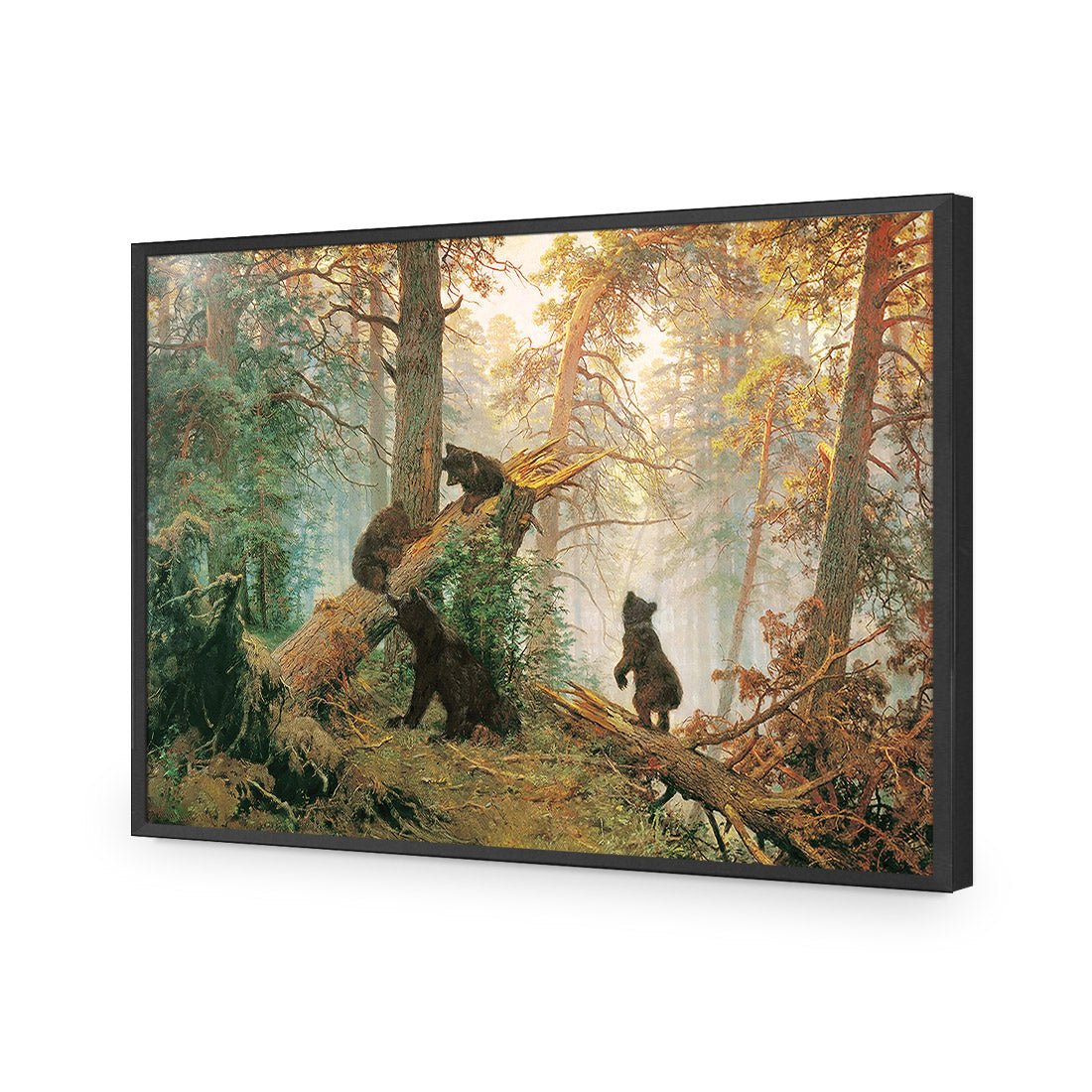 Morning In A Pine Forest - Ivan Shishkin Acrylic Print Art - Wall Art Designs - 1334_AR_H WAD_AP - 030 - EDG_45x30_S - 2538 - BLK