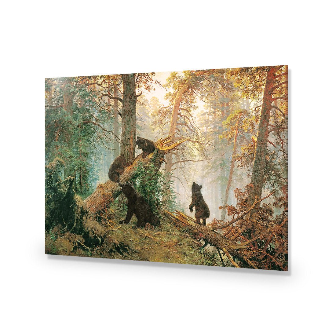 Morning In A Pine Forest - Ivan Shishkin Acrylic Print Art - Wall Art Designs - 1334_AR_H WAD_AP - 030 - EDG_45x30_NONE