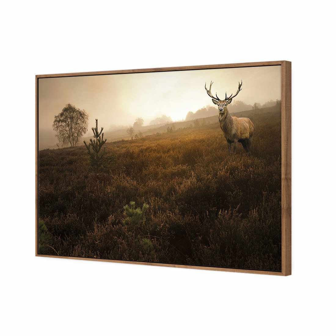 Morning Stag, Rectangle Canvas Art - Wall Art Designs - 3060_AR_H WAD_CP - MPY - 260 - M - S - S_45x30_S - 1550 - NAT