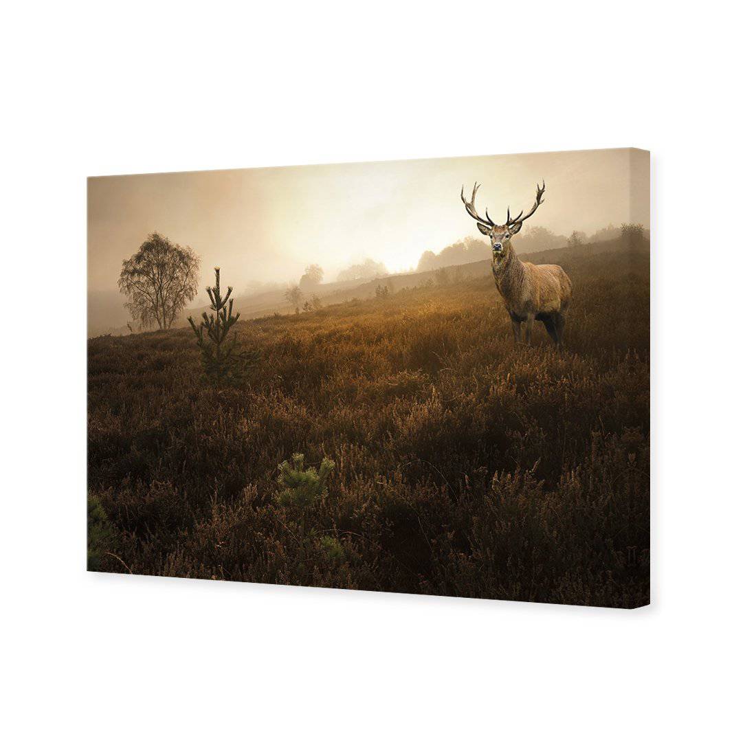 Morning Stag, Rectangle Canvas Art - Wall Art Designs - 3060_AR_H WAD_CP - MPY - 260 - M - S - S_45x30_NONE