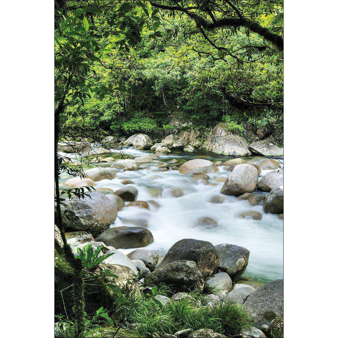 Mossman Gorge Canvas Art - Wall Art Designs - 1202_AR_V WAD_CP - MPY - 260 - M - S - S_45x30_NONE