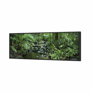 Mossman River In Daintree Rainforest, Long | Standard Canvas | Floating Frame | Black