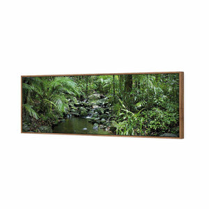 Mossman River In Daintree Rainforest, Long | Standard Canvas | Floating Frame | Natural