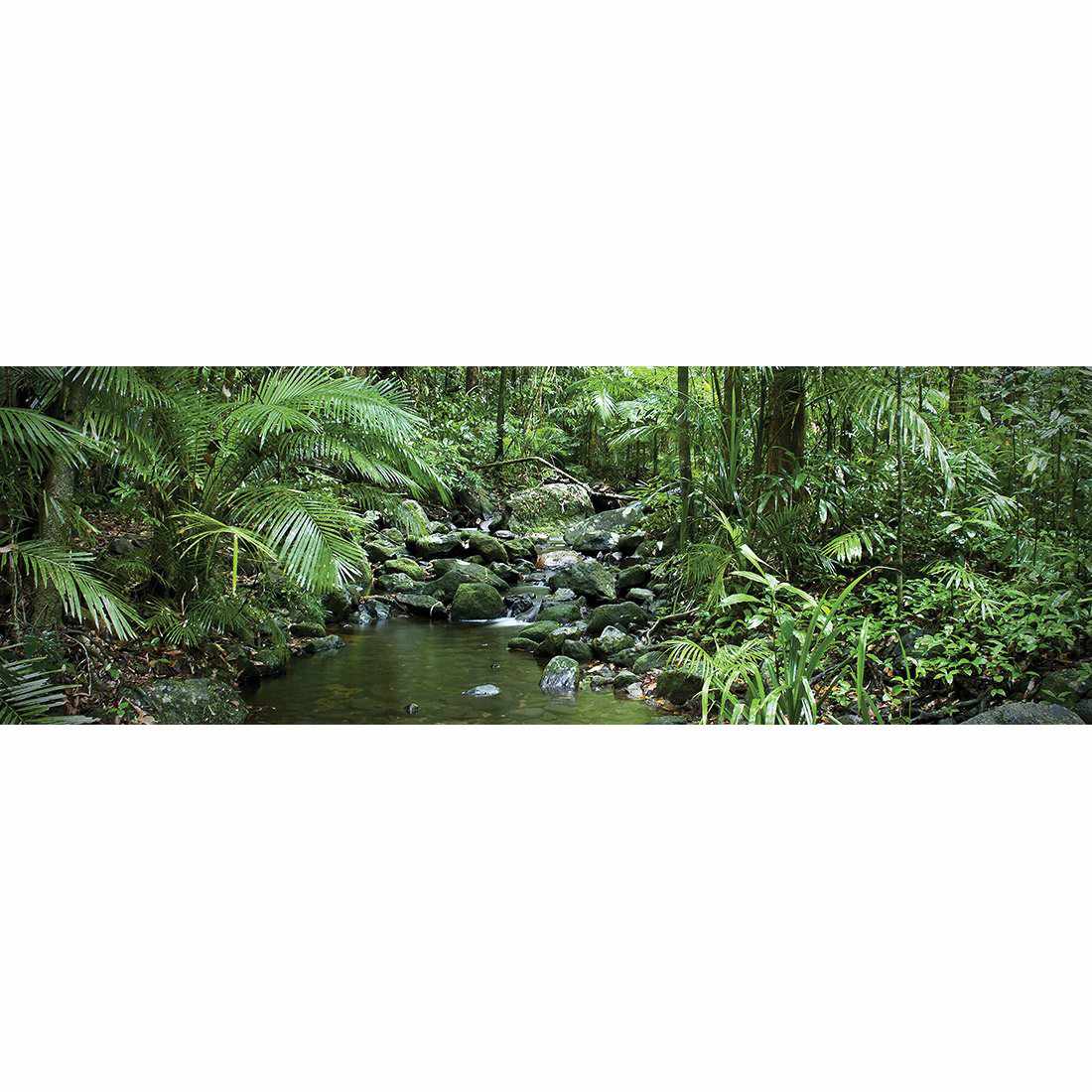 Mossman River In Daintree Rainforest, Long Canvas Art - Wall Art Designs - 2610_AL_H WAD_CP - MPY - 260 - M - S - S_60x20_NONE