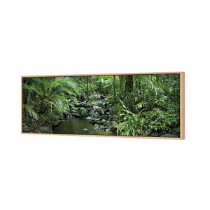 Mossman River In Daintree Rainforest, Long | Standard Canvas | Floating Frame | Oak