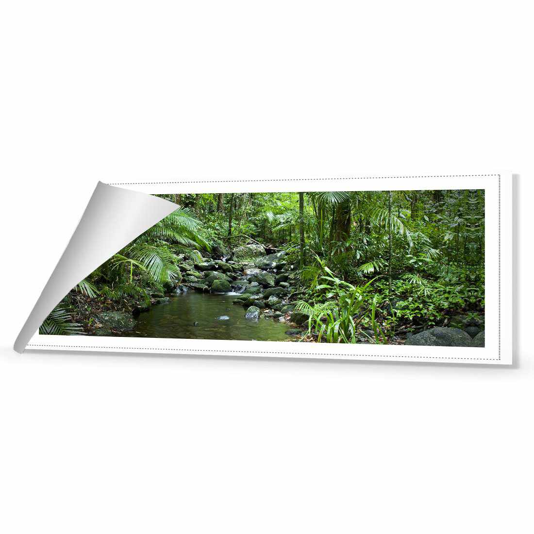 Mossman River In Daintree Rainforest, Long Canvas Art - Wall Art Designs - 2610_AL_H WAD_CP - MPY - 260 - M - R_60x20_NONE